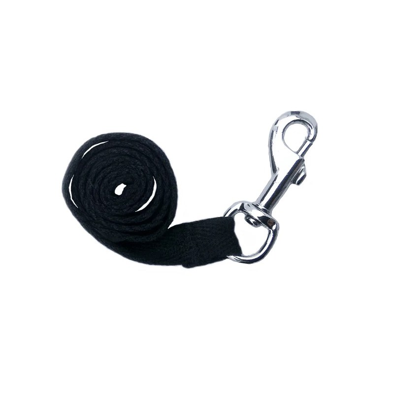 Crafty Ponies - Longeer set