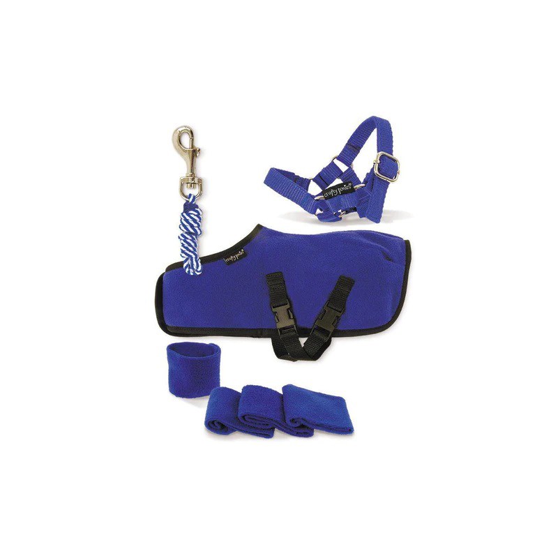 Crafty Ponies -  Fleecedeken set Blauw