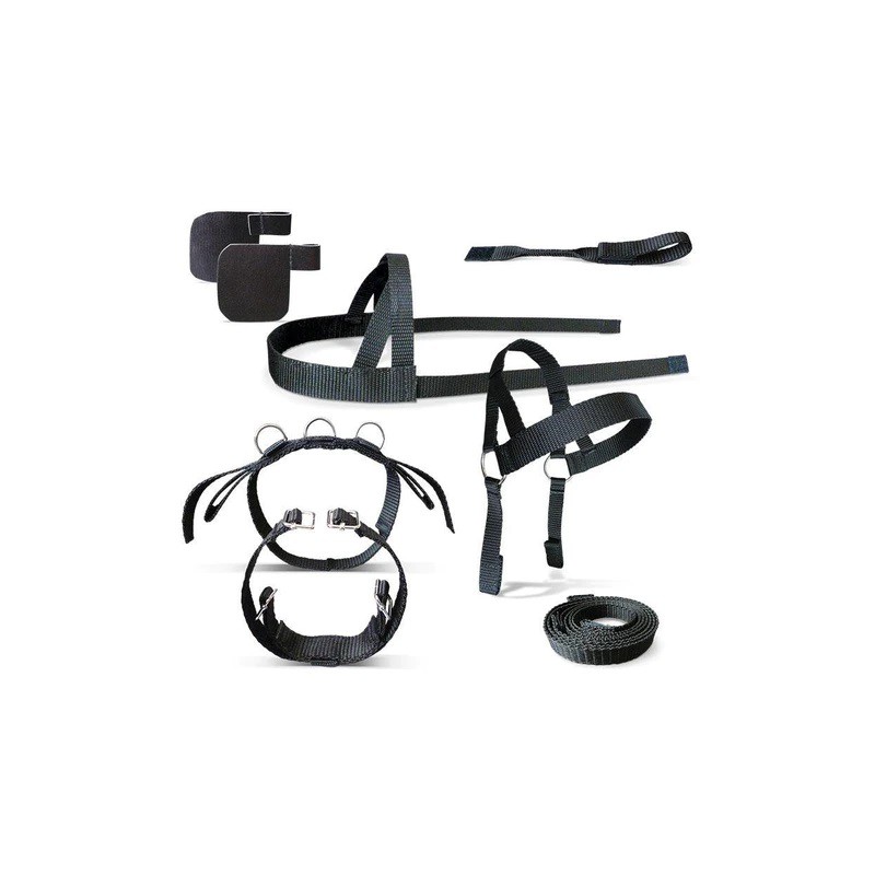 Crafty Ponies - Longeer set