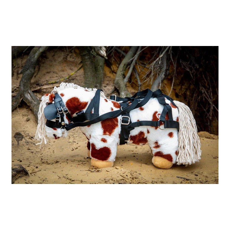 Crafty Ponies - Longeer set