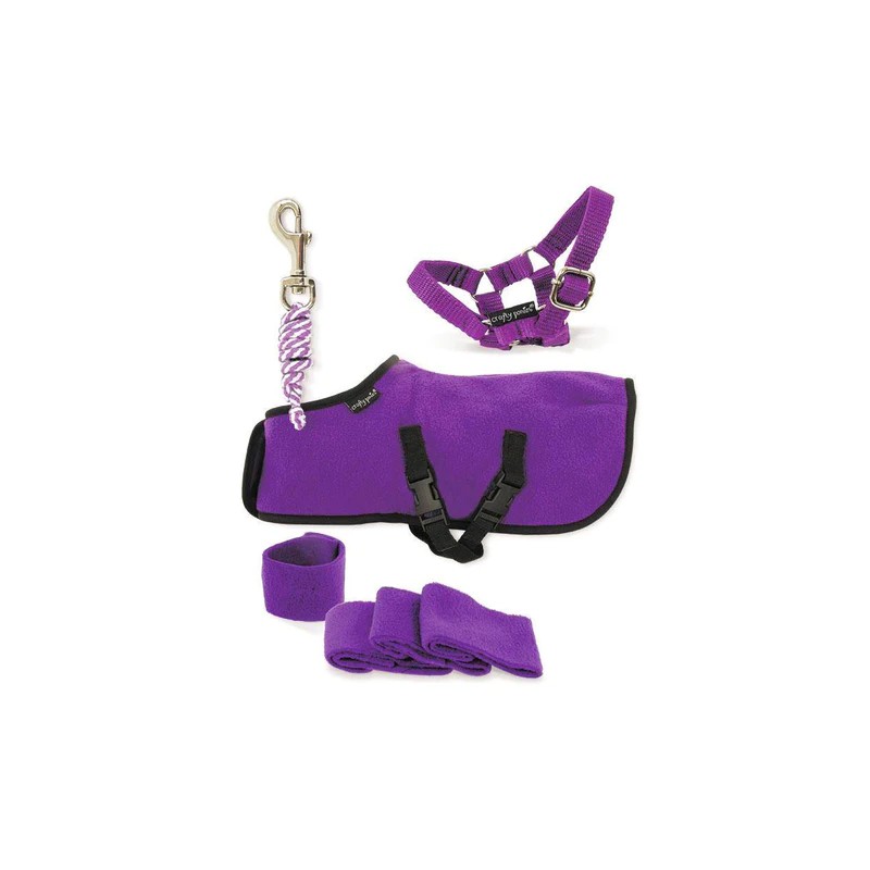 Crafty Ponies -  Fleecedeken set Paars