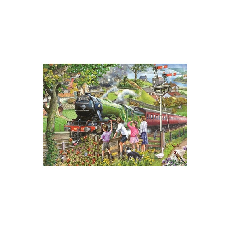 Full steam ahead, The Appleton Collection , HOP 1000 stukjes