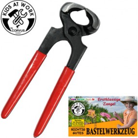 Kids at Work - Nijptang