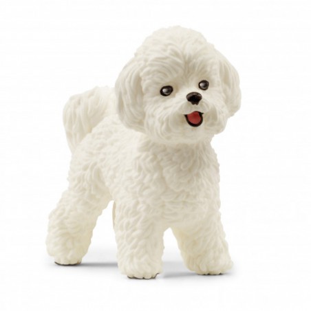 Schleich Bichon frisé 13963