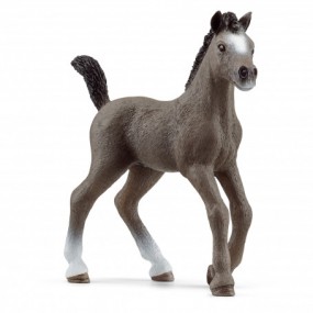 Schleich Selle-Francais veulen 13957