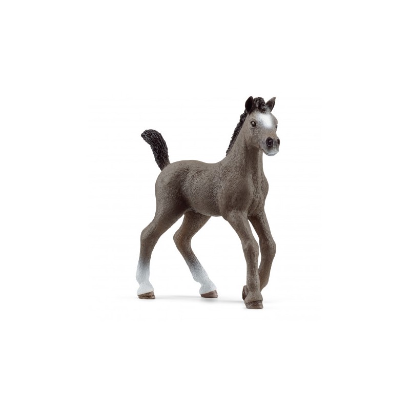 Schleich Selle-Francais veulen 13957