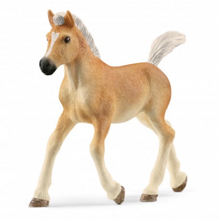 Schleich Haflinger veulen, 13951