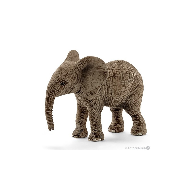 Afrikaans baby olifant 14763