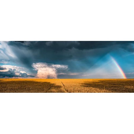 1000stukjes Ravensburger Mystieke regenboog Panorama puzzel