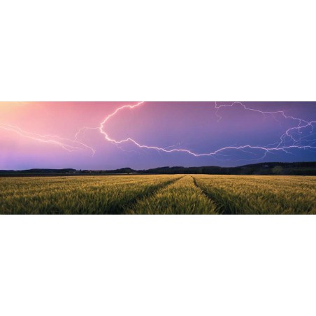 Zomers onweer, panorama 500p stukjes puzzel  Ravensburger