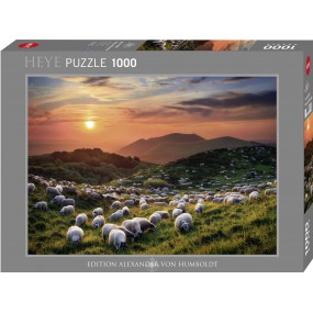 Sheep Volcanoes Heye puzzel 1000 stukjes