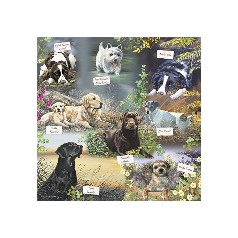 Men's best friend Otter House 1000 stukjes puzzel