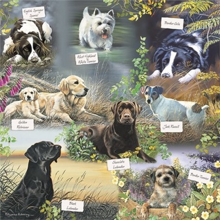 Men's best friend Otter House 1000 stukjes puzzel