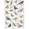 Birdsong, Otter House 1000 stukjes puzzel