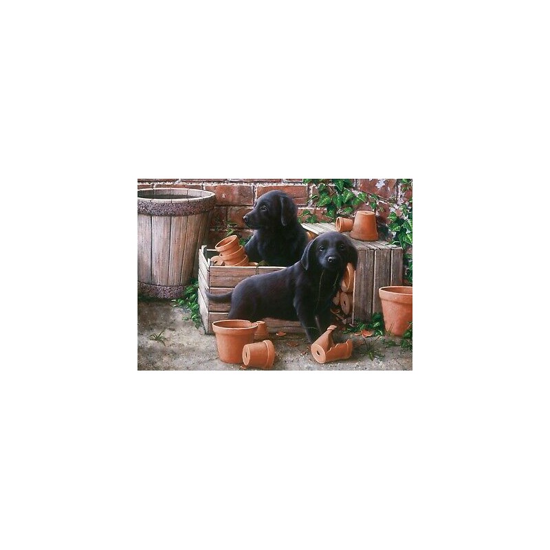 Bill & Ben 500 stukjes Otter House puzzel