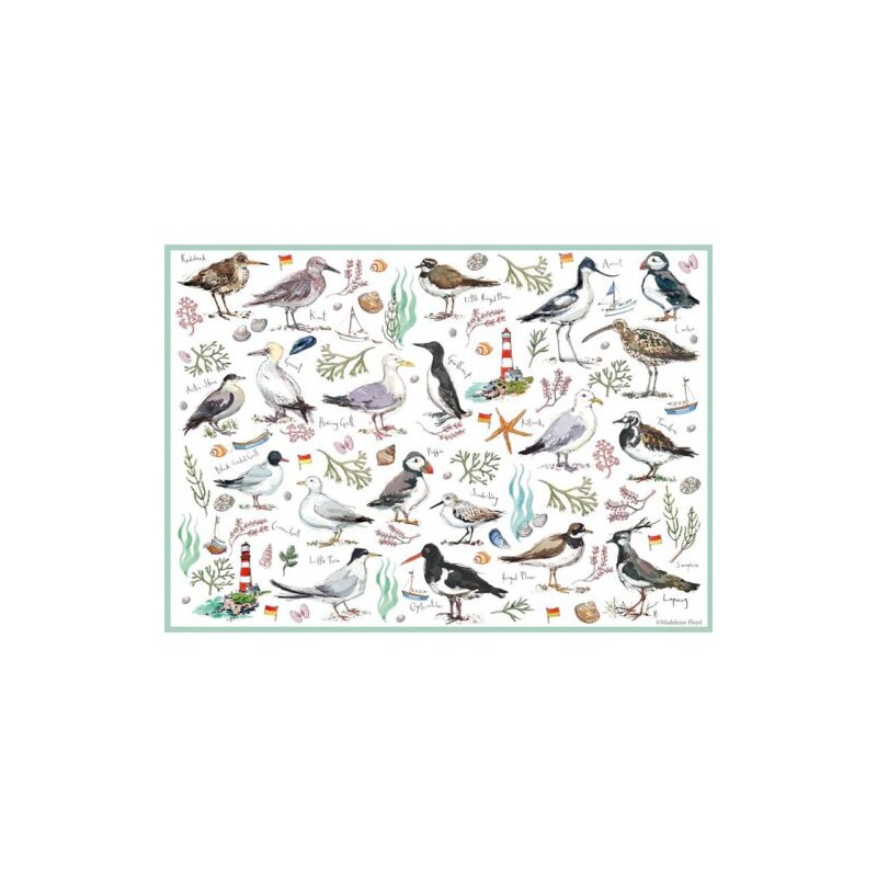 Seabirds 500 stukjes Otter House puzzel