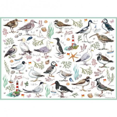 Seabirds 500 stukjes Otter House puzzel