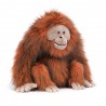 Oswald Orangutan 34cm, Jellycat Oswald Orangutan 34cm, Jellycat