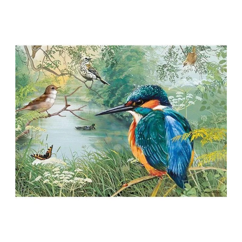 Nature reserve, Otter House 1000 stukjes puzzel