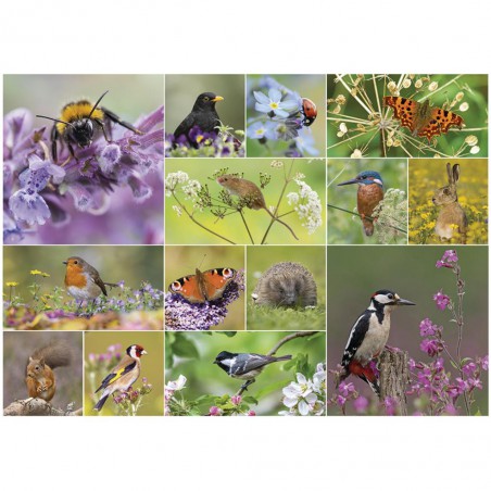 Wildlife wonder Otter House 1000 stukjes puzzel