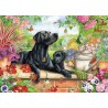 Black Labrador and pup Otter House 1000 stukjes puzzel