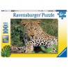 Luipaard 100 stukjes puzzel Ravensburger Luipaard 100 stukjes puzzel Ravensburger