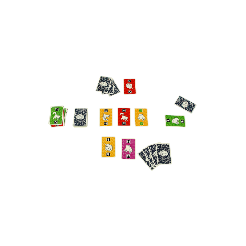 The Brain - Kaartspel, 999games