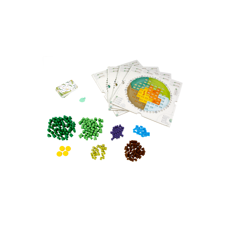 Evergreen - Bordspel, 999games