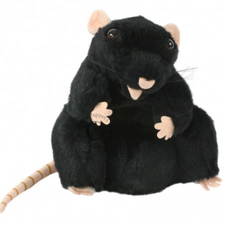 European Wildlife: Handpop rat zwart