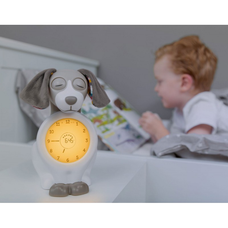 Zazu slaaptrainer dog, Davy Taupe