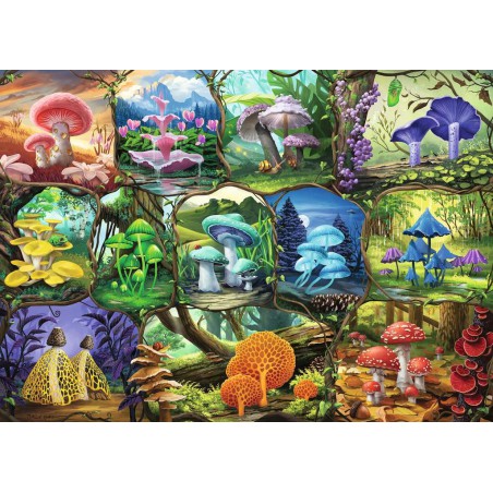 1000stukjes Ravensburger Beautiful mushrooms