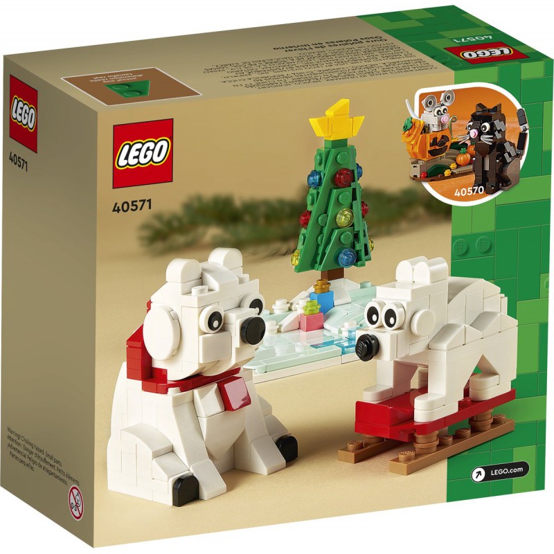 LEGO Creator  - 40571 IJsberen in de winter