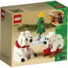 LEGO Creator - 40571 IJsberen in de winter LEGO Creator - 40571 IJsberen in de winter