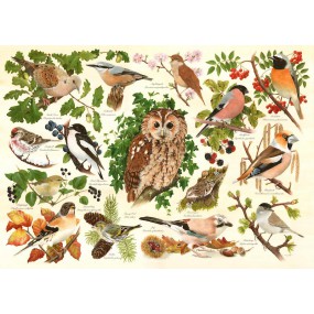 Woodland Birds, House of Puzzles BIG 500 stukjes