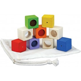 Plantoys Activity blocks