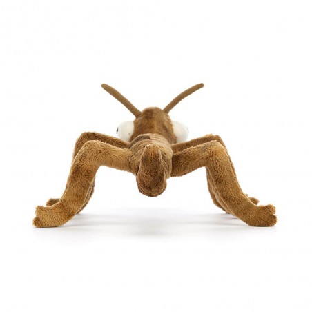 Stanley stick insect, Jellycat