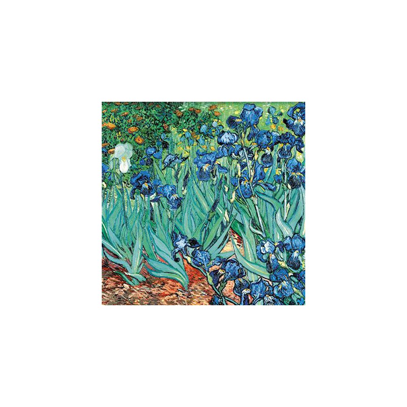 Fridolin Art Origami kraanvogel Van Gogh