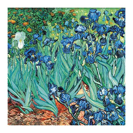 Fridolin Art Origami kraanvogel Van Gogh