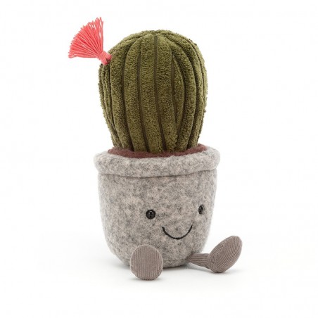 Silly succulent barrel cactus, Jellycat