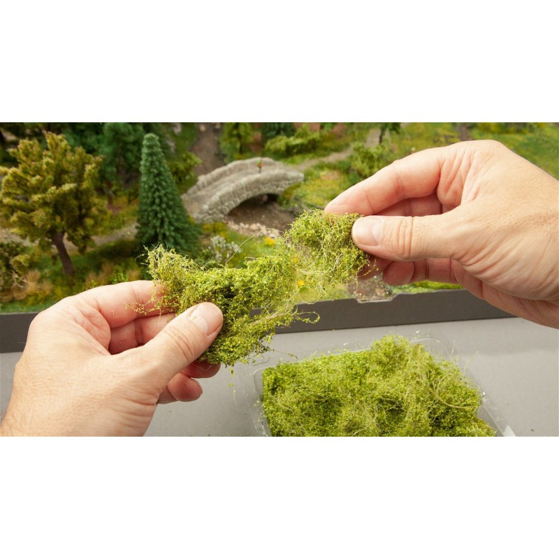 struik-gewas-middelgroen-noch-07310