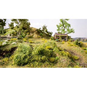 struik-gewas-middelgroen-noch-07310