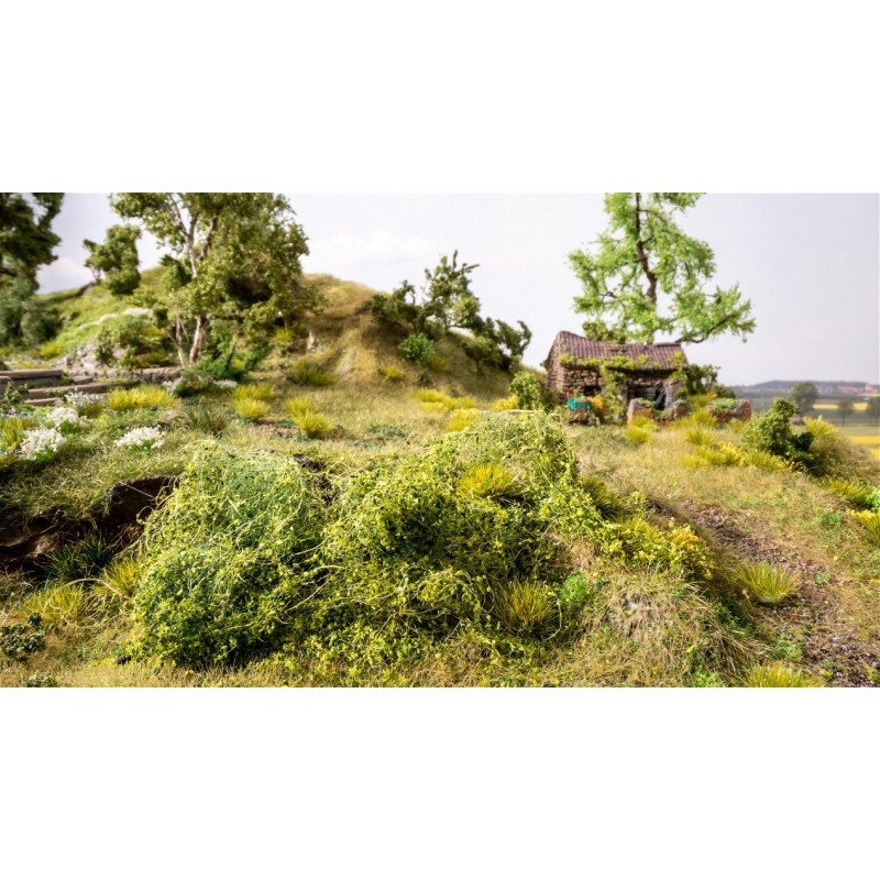 struik-gewas-middelgroen-noch-07310