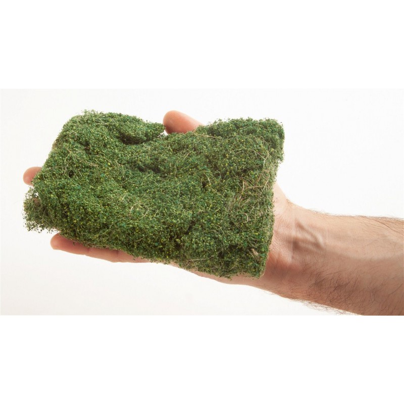 struik-gewas-middelgroen-noch-07310