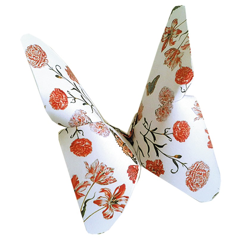 Fridolin Art Origami Maria Sibylla Merian