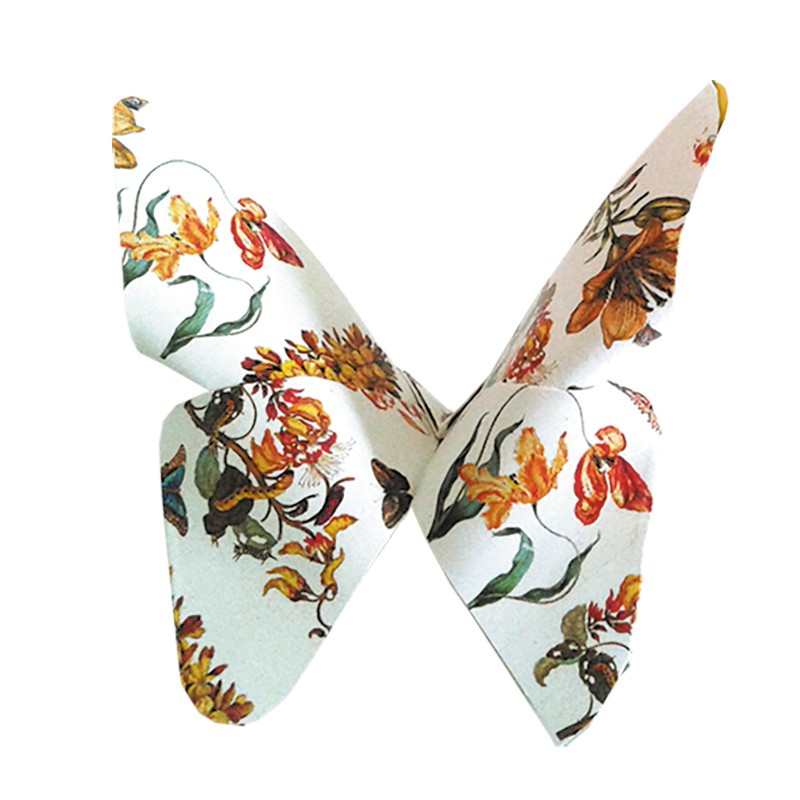 Fridolin Art Origami Maria Sibylla Merian