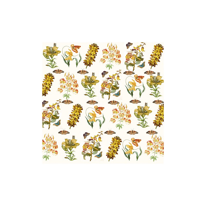 Fridolin Art Origami Maria Sibylla Merian