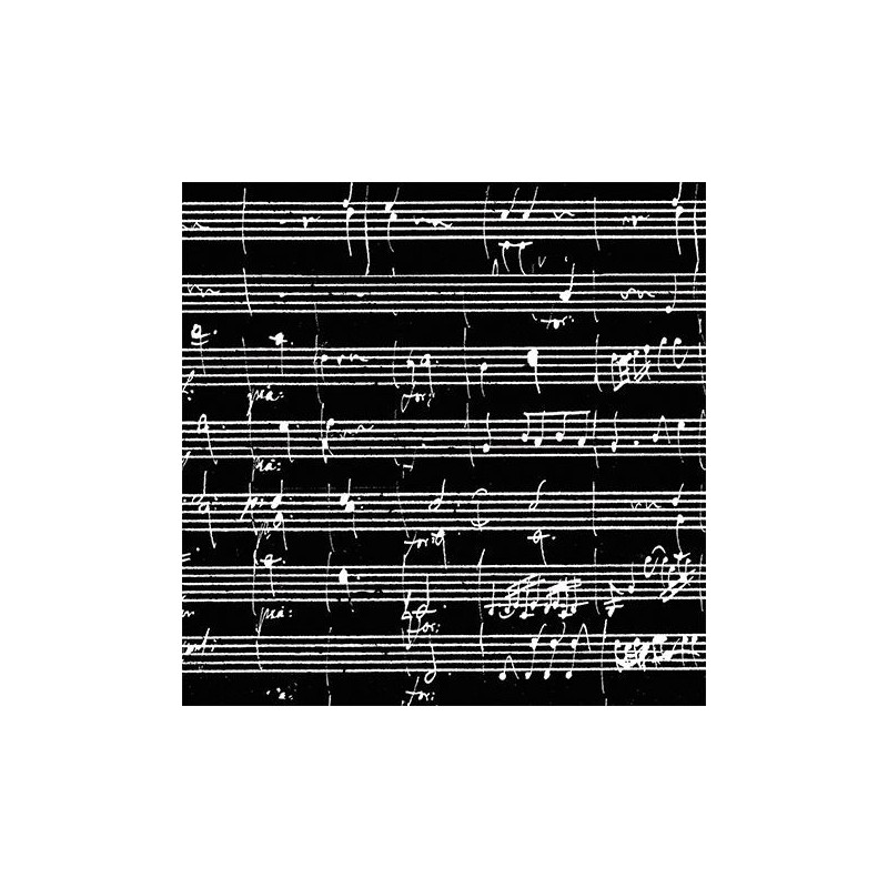 Fridolin Art Origami Sheet of music