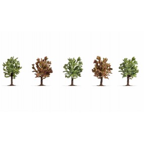 fruitbomen-bloeiend-5-stuks-8cm-noch-25615