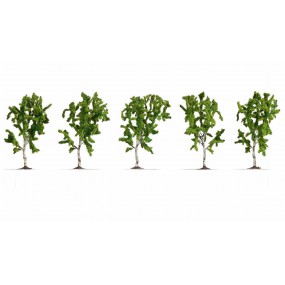 berken-5-stuks-10cm-noch-25630