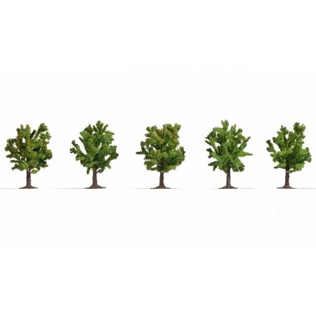 fruitbomen-5-stuks-8cm-noch-25610